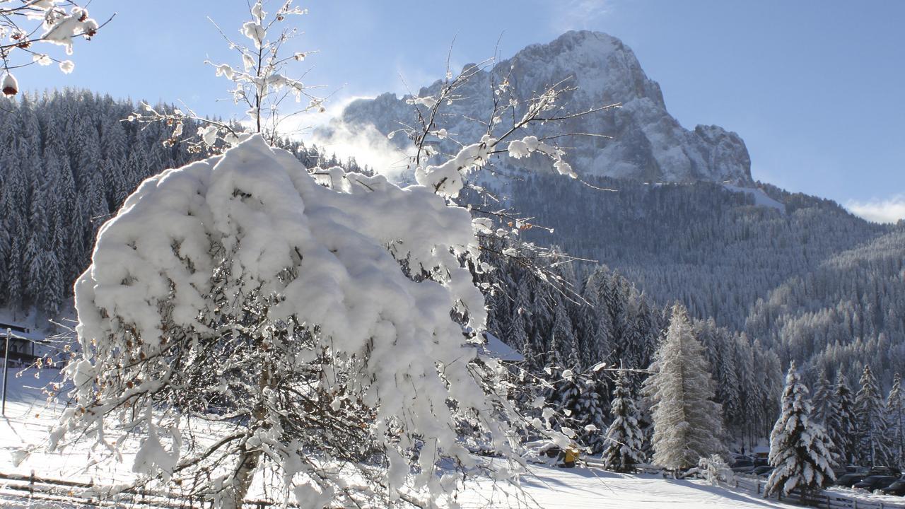 Garni Hotel Rosengarten B&B Selva di Val Gardena Exteriör bild